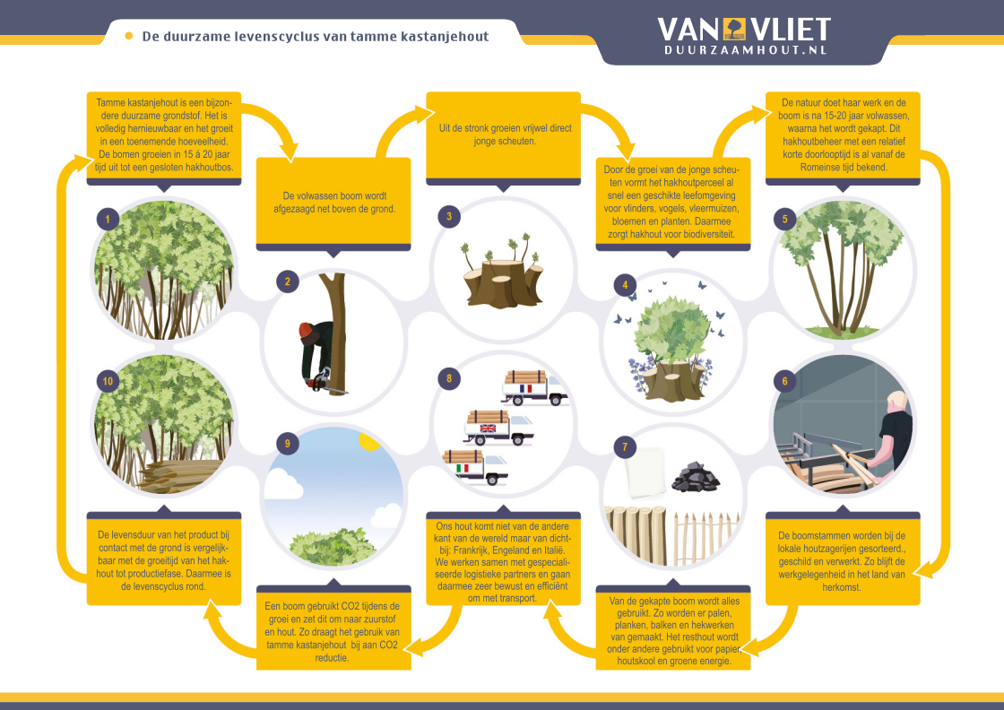 van-vliet-kastanjehout-duurzaam-hout-infographic