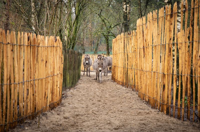 Inspiratie magazine | januari 2021 Inspiratie magazine | januari 2021