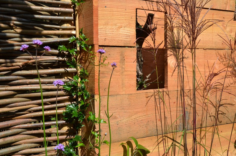 Internationale Dag van de Biodiversiteit: wat kan jij doen? Internationale Dag van de Biodiversiteit: wat kan jij doen?