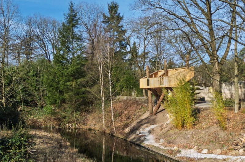 Observatietoren van kastanjehout in de Apenheul