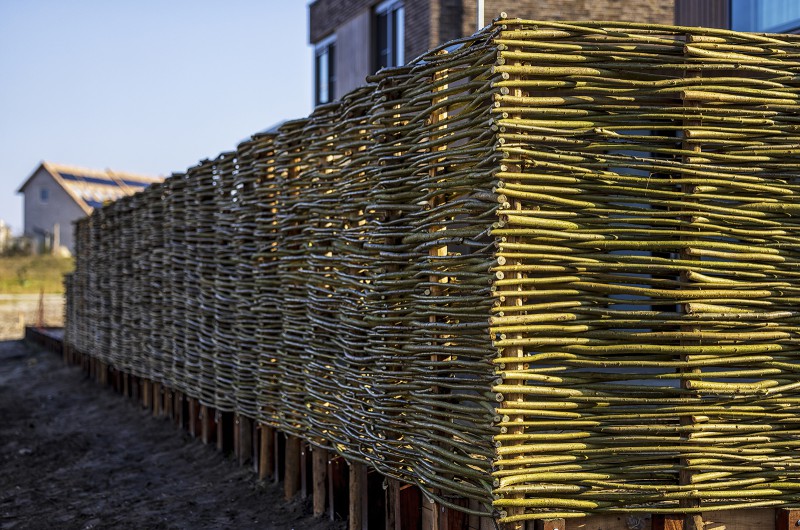 De wilgentenen zijn er weer De wilgentenen zijn er weer