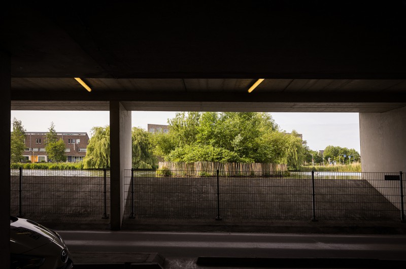Hekwerk van Van Vliet om Zwolse eilandjes houdt mens en dier tevreden Hekwerk van Van Vliet om Zwolse eilandjes houdt mens en dier tevreden