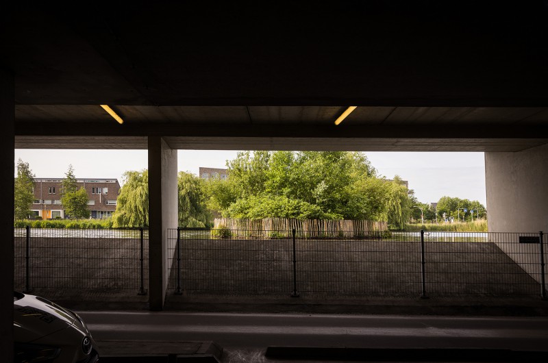 Hekwerk van Van Vliet om Zwolse eilandjes houdt mens en dier tevreden