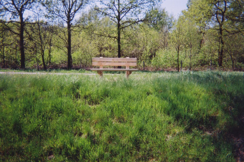 Dag van het Park Dag van het Park