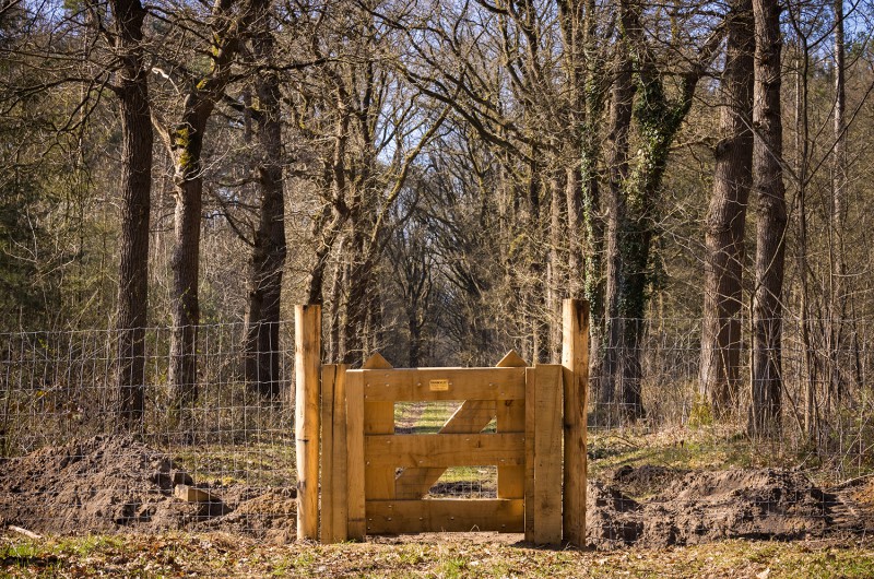 Veilige oversteek voor dassen