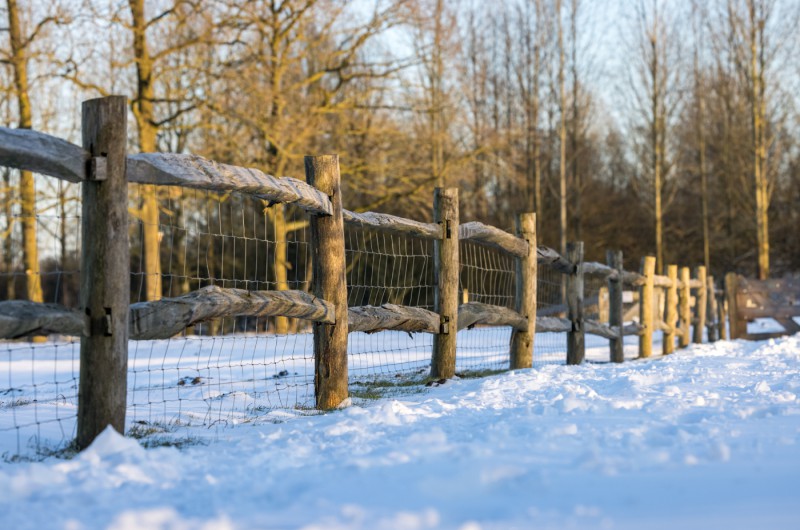 Aangepaste openings- en levertijden in december Aangepaste openings- en levertijden in december