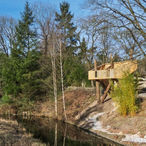 Observatietoren van kastanjehout in de Apenheul